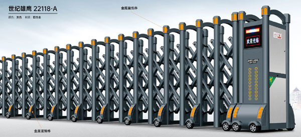 世紀雄鷹-22118-A